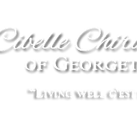 Портфолио Cibelle Chiropractic of Georgetown